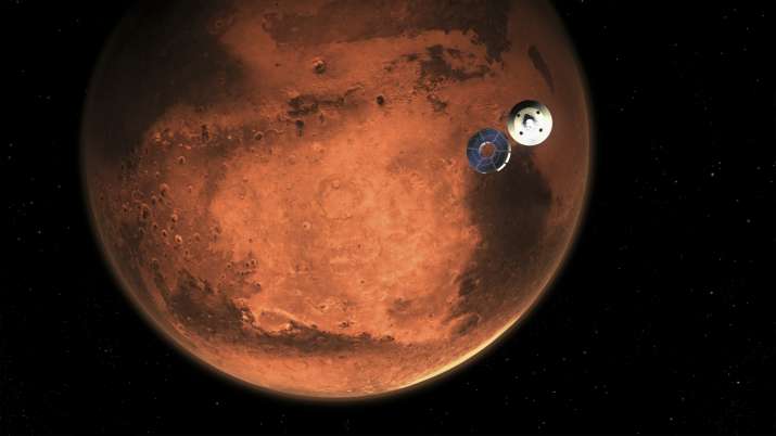 Microbes from Earth could temporarily survive on Mars: