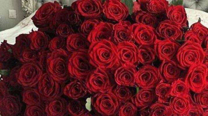 Happy Rose Day 2021 Red For Love Yellow Denotes Friendship Here S Complete List Of Colours Meaning Relationships News India Tv