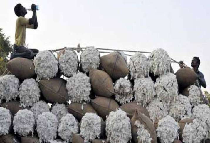 cotton import