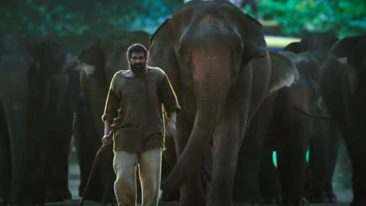 Haathi Mere Saathi: New song Ae Hawa featuring Rana Daggubati will melt your heart; Watch - Vimarsana News