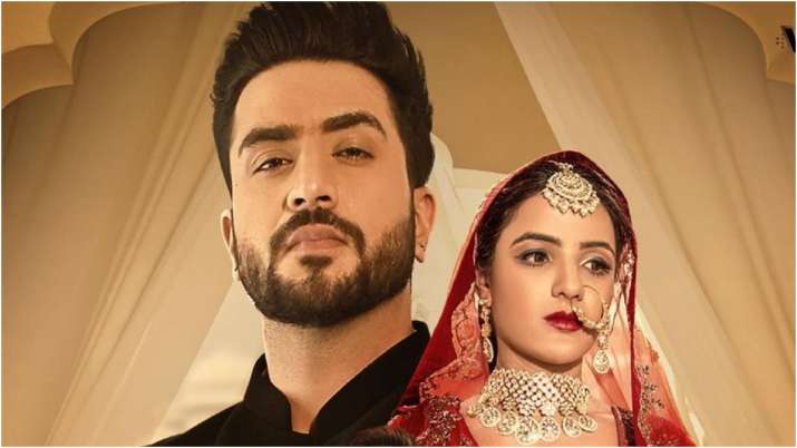 Tu Bhi Sataya Jayega: Aly Goni, Jasmin Bhasin to be seen as married