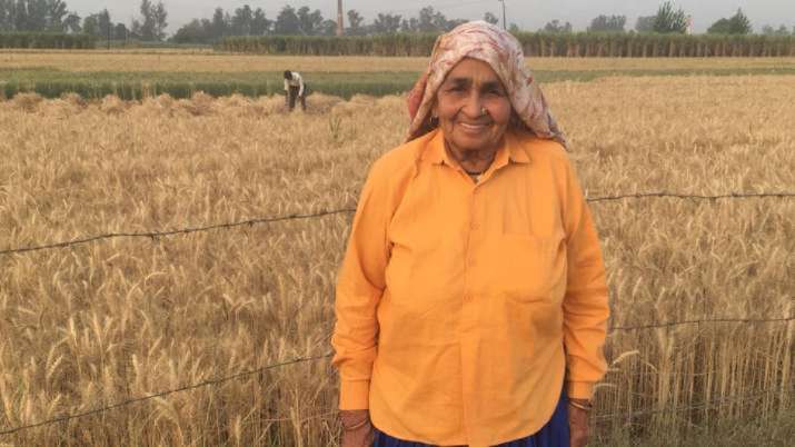shooter dadi, dadi chandro tomar, shooter dadi dead, dadi chandro tomar dead,shooter dadi death news