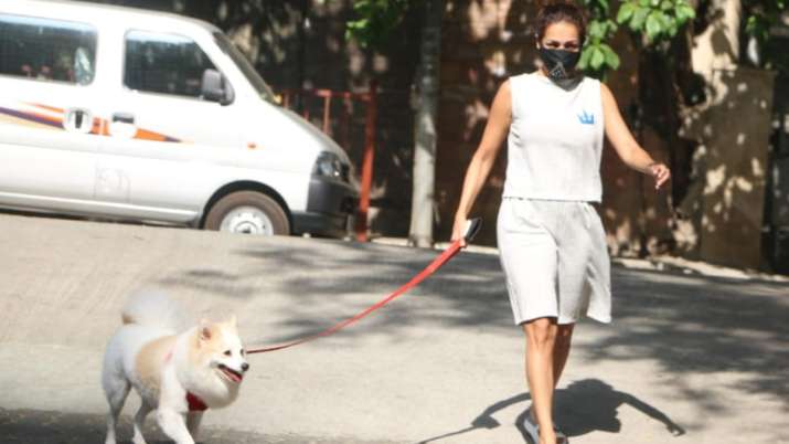 Malaika Arora trolled for stepping out for walking dog Casper amidst the  lockdown | Celebrities News – India TV
