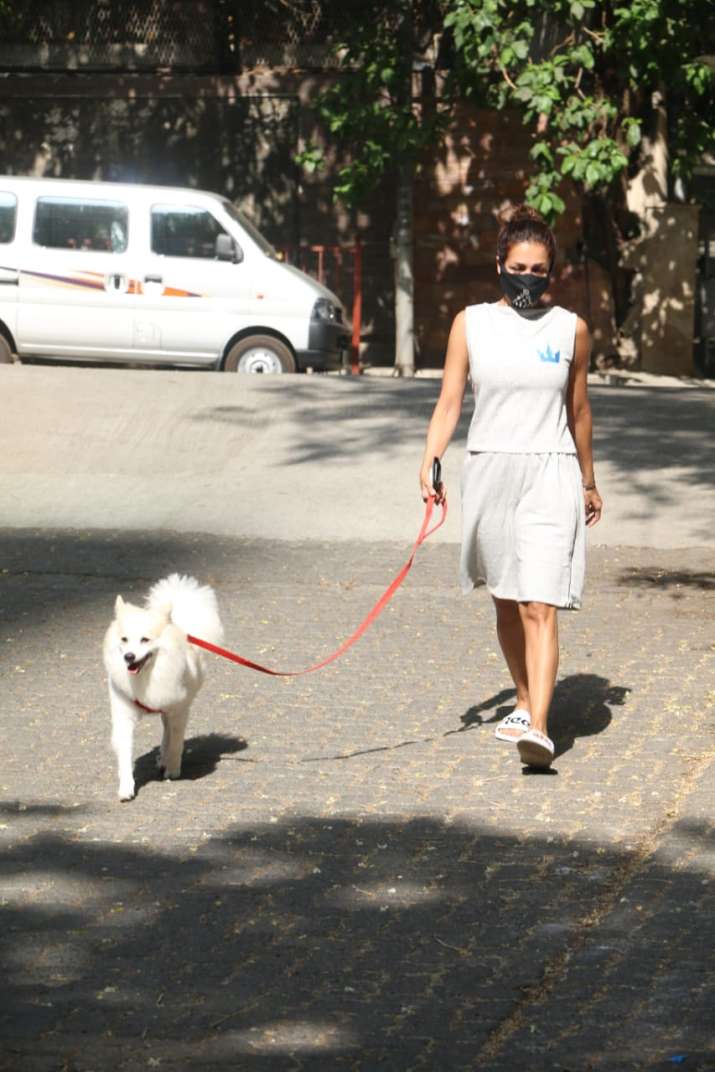 India Tv - Malaika Arora fue trolleada por salir para pasear al perro Casper en medio del encierro