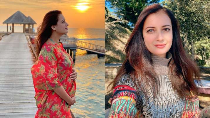 Dia Mirza Hits Out At Troll Who Questioned Her Pregnancy Timing Announcement