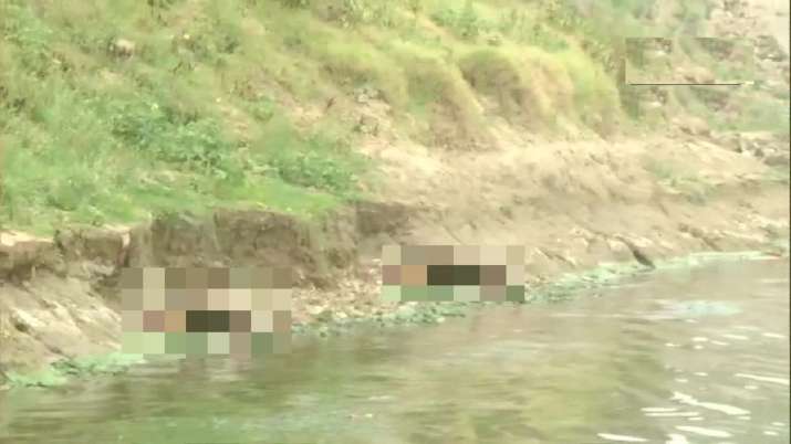 UP: Bodies wash up on shores of river Ganga in Ghazipur