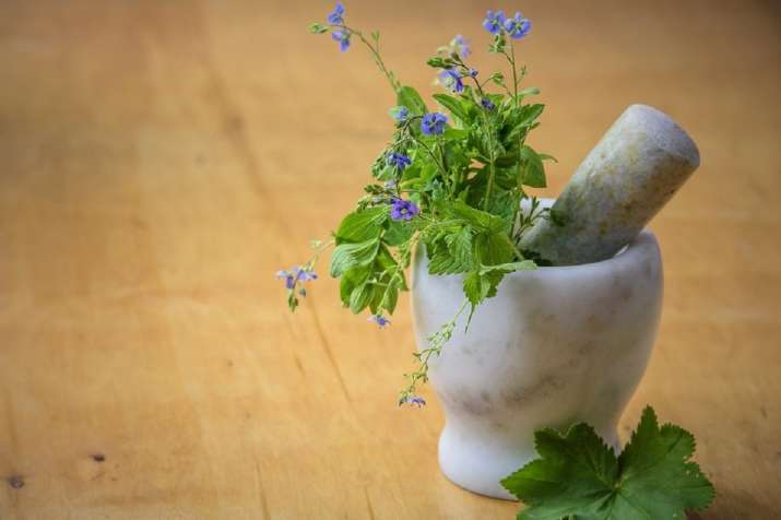 Indigenous herbal medicines helpful in treating mild to