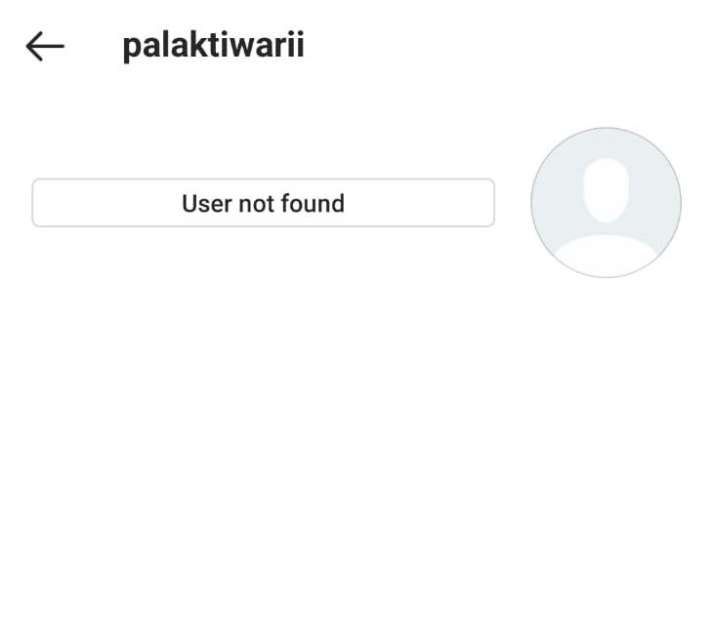 India Tv - How Palak Tiwari's Insta account looks now