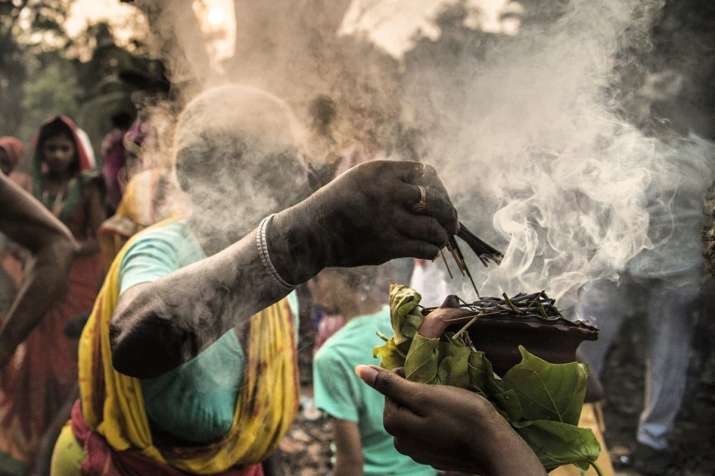 India Tv - The Tree of Traditions- Published in BBC in 2018