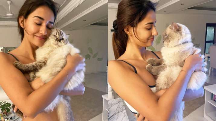 Disha Patani channels her love for cats, shares adorable pictures with pets Jasmine and Keety