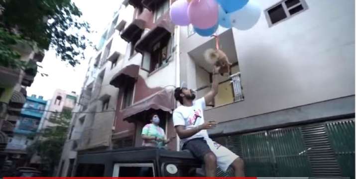 The dog is strapped to a bunch of balloons and is set loose