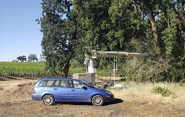 california giant fan