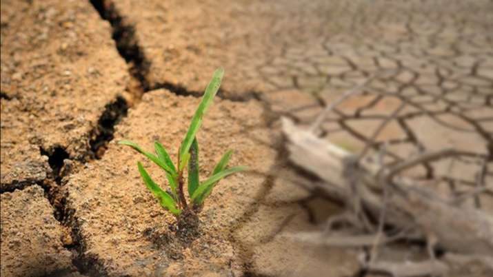 World Day to Combat Desertification and Drought