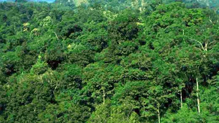 The Forest Department has arrested 194 people between 2016