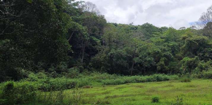 Environment