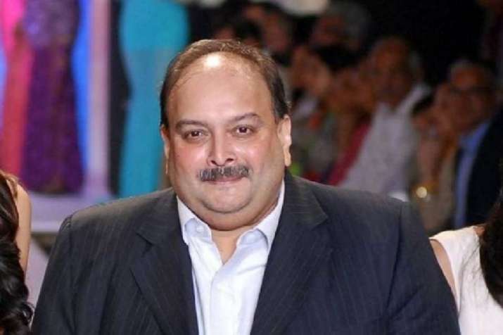 ED likely to name Mehul Choksi's wife Priti Choksi in