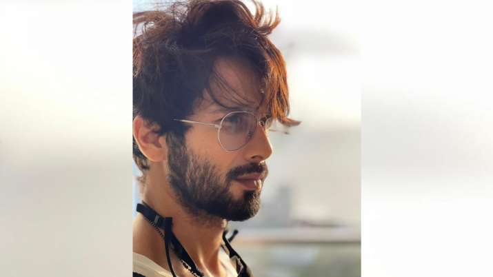 Shahid Kapoor treats fans with sunkissed picture: 'We always tend to love most what we have lost'