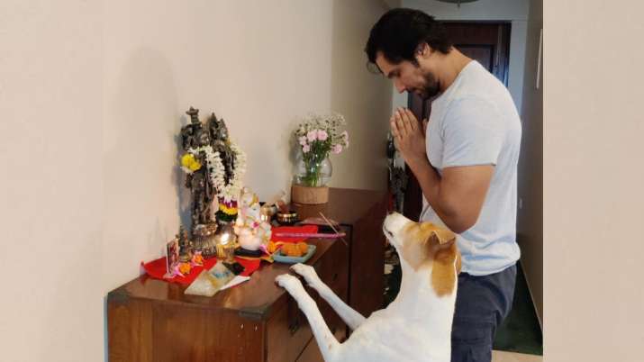 Randeep Hooda's pet dog striking a 'sanskari' pose is the cutest thing you'll see on Internet today
