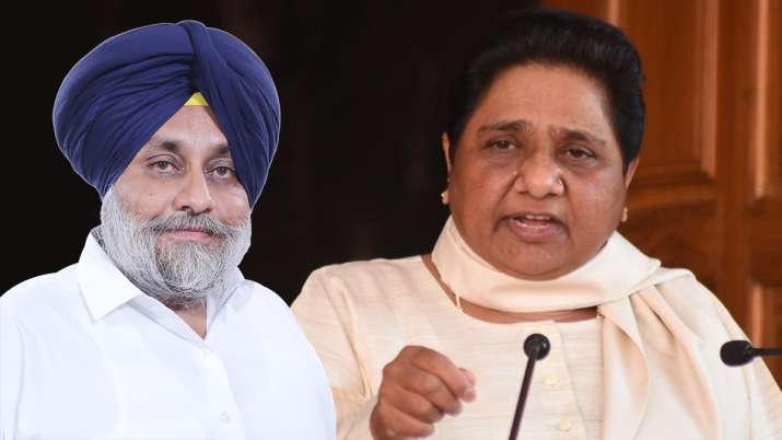 Akali Dal, BSP alliance punjab assembly election 2022 sukhbir singh badal  mayawati latest updates | India News – India TV