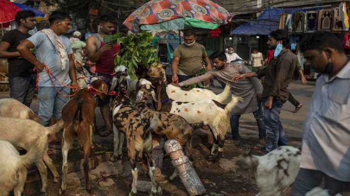 cow sacrifice banned on bakrid,bakrid, up bakrid ban, up bans sacrifice of cow, camel on bakrid