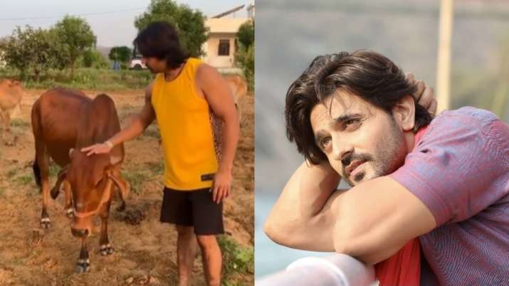 Siya Ke Ram actor Ashish Sharma turns into a farmer amid COVID-19 pandemic. Here's why