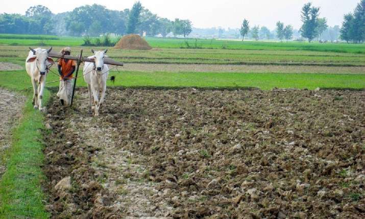 Rajasthan farmers to get Rs 1,000 monthly grant under Kisan