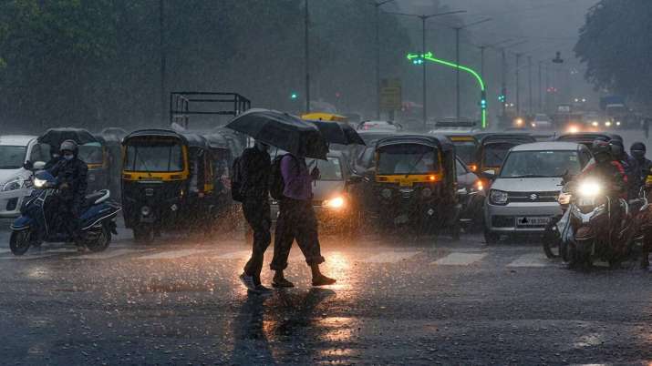 Madhya Pradesh: IMD issues heavy rain warning for 24 districts