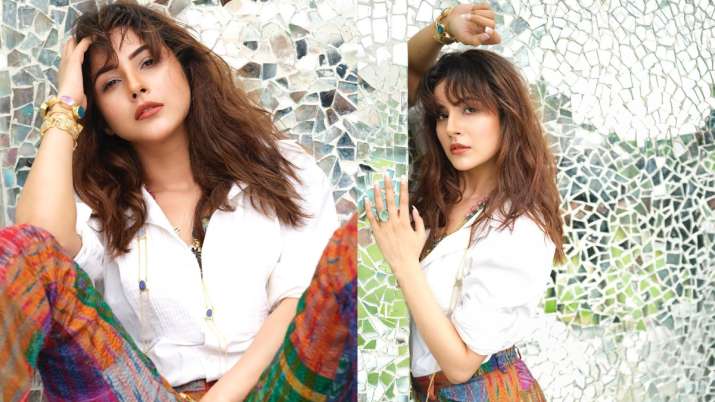 Shehnaaz Gill sets the temperature soaring with latest photos