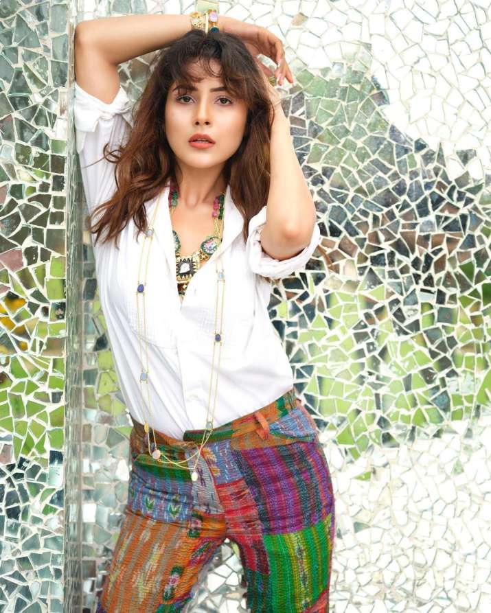 India Tv - Shehnaaz Gill raises the mercury with the latest pics