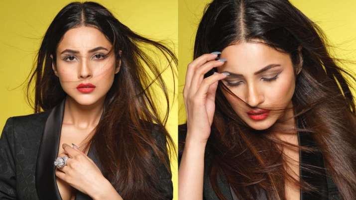 Shehnaaz Gill goes all black in latest photoshoot with Dabboo Ratnani; fans call Bigg Boss 13 contes