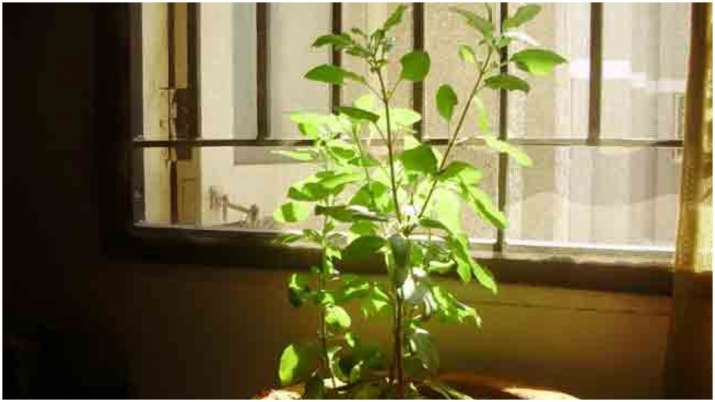 Vastu Tips