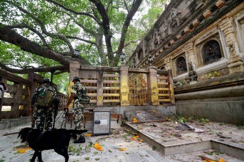 mahabodhi temple reopens
