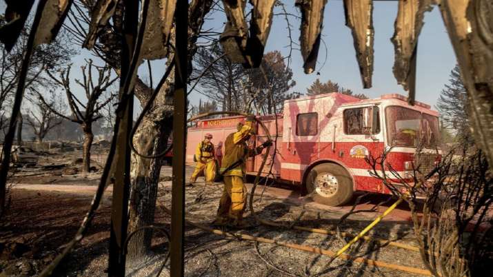 california wildfires, wildfire season, wildlife damage, latest international news updates, california