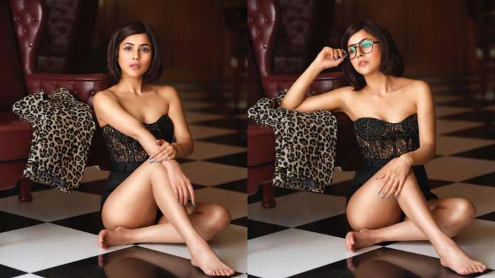 Shehnaaz Gill Is A Sight To Behold In These Sultry Pics Celebrities News India Tv