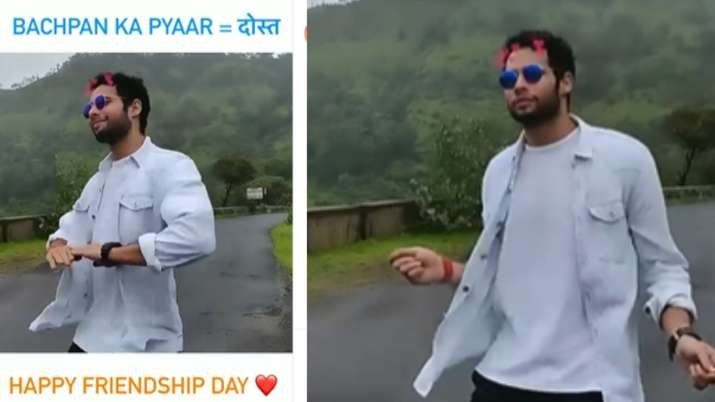 VIDEO: Siddhant Chaturvedi's hilarious Friendship Day post is about