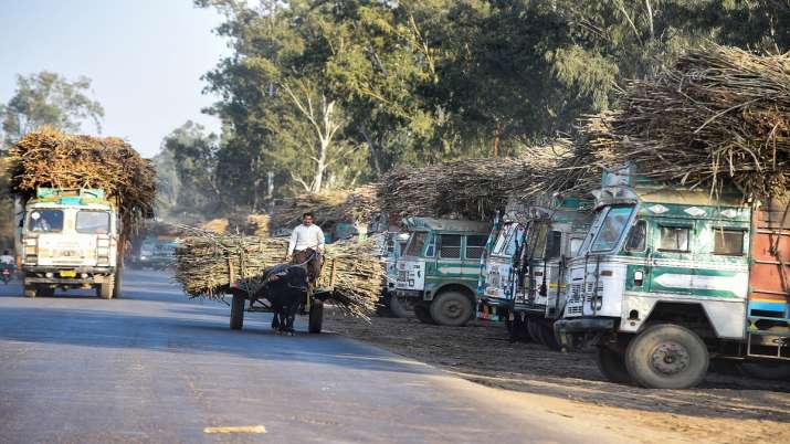 Govt approves highest ever FRP on sugarcane, move to