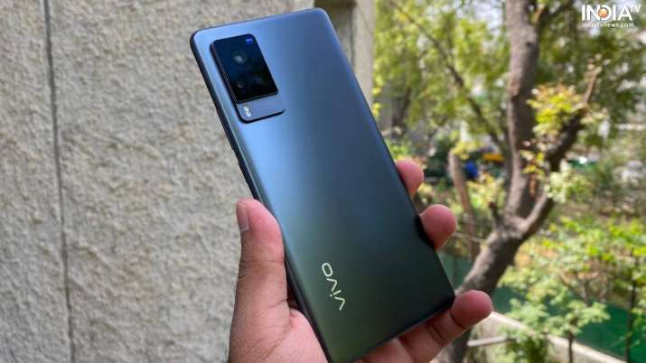 vivo