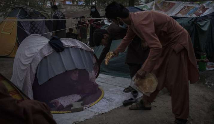 afghanistan unemployment