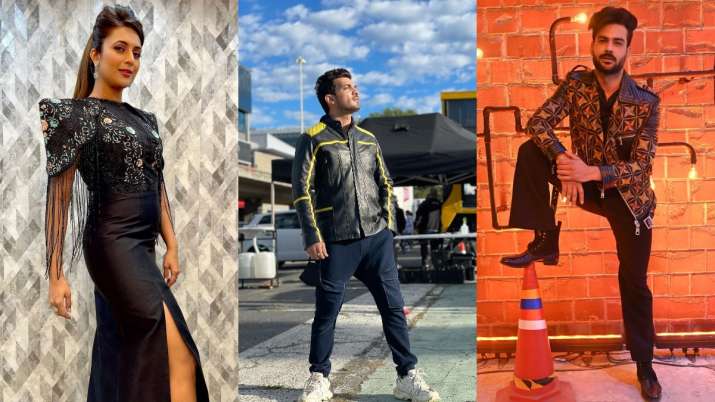 Khatron Ke Khiladi 11 winner Arjun Bijlani's FIRST post after victory: Vishal and Divyanka are also 