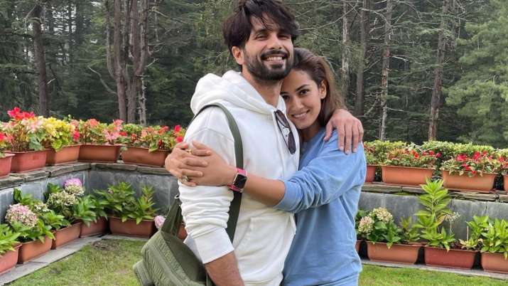 Shahid Kapoor's wish for Mira Rajput on her birthday is all about love:  'You are the centre of my world' | Celebrities News – India TV