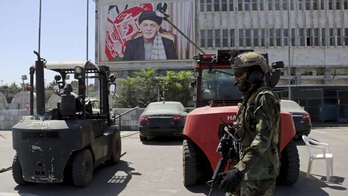 taliban government