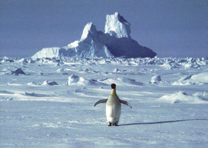 antarctica carbon emissions