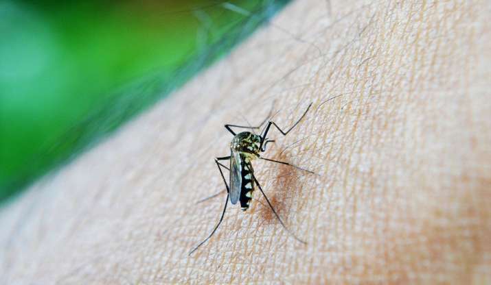 Dengue, chikungunya, malaria made notifiable diseases under