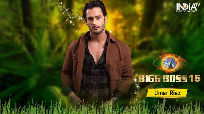 Bigg Boss 15 Contestants List: Umar Riaz, Karan Kundrra, Tejasswi