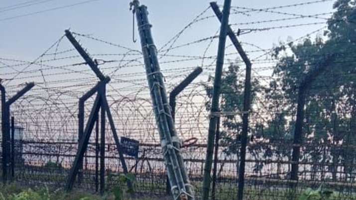 Two suspected Bangladeshi cattle smugglers killed near