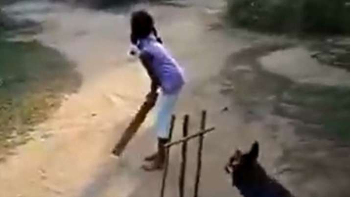 Sachin Tendulkar shares video featuring dog & children playing cricket