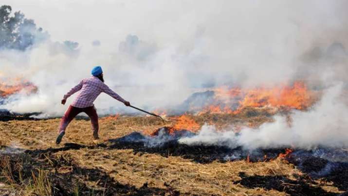 Stubble burning: AAP promises free spraying of