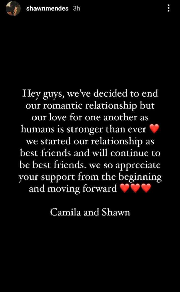 India Tv - Shawn and Camila's Instagram post