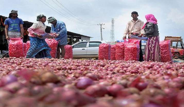 Onions bring tears to Maharashtra farmer who earns just Rs 13 after selling over 1.1 ton