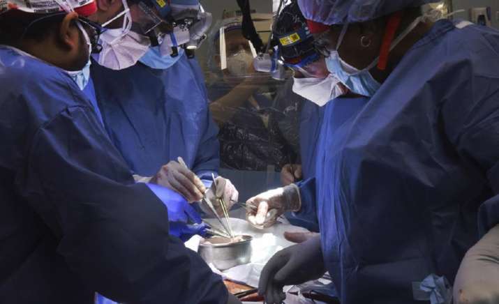 In a first, US surgeons transplant pig heart into human patient